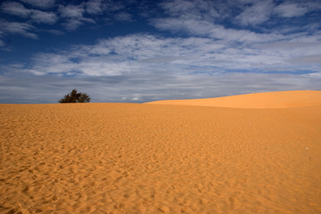 Fototapeta na wymiar Sand dunes in Muine