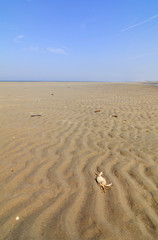 Nordseeküste