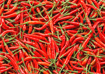 group of chili