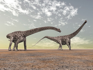 Diplodocus