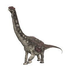 Diamantinasaurus