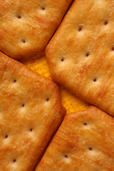 Cookie