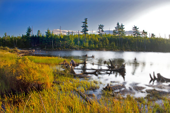 Lake at Baxter Park during Sunset