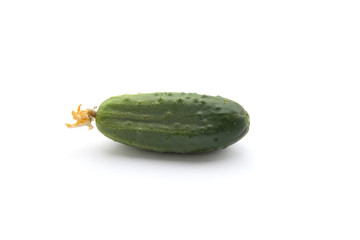 Cornichon