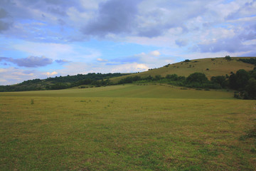Fototapeta premium SOUTH DOWNS