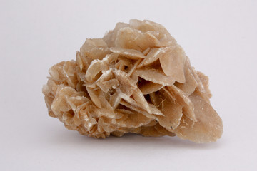 rose des sables 17