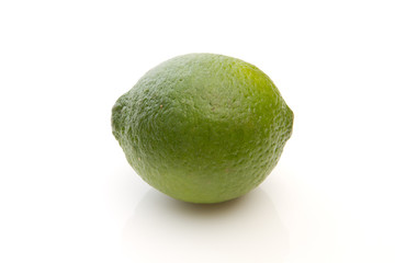 Lime on a white background