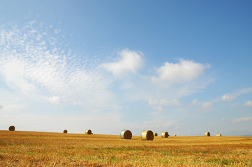 Feld mit Strohrollen