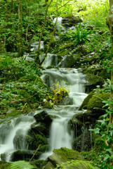 Obraz premium Beautiful mountain cascade of water