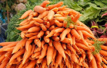 Carrots at Farmers market