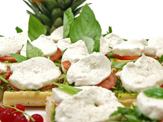 tomato mozzarella sandwiches