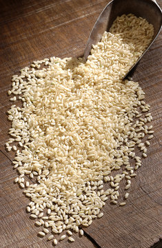 Brown Rice With A Scoop