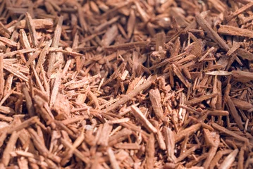  dried sandalwood © lognetic