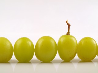 Weintrauben