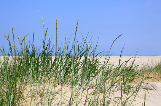 Fototapeta Dünen