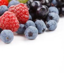 different kinds of berries