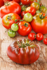 fresh tomatoes