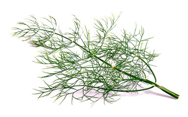 Dill