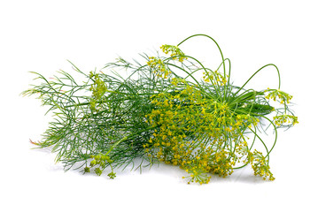 Dill