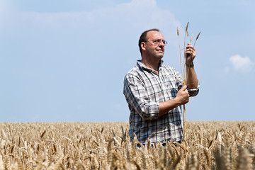 Landwirt - Bauer im Getreide Feld.