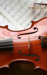 Fototapeta premium violine_5