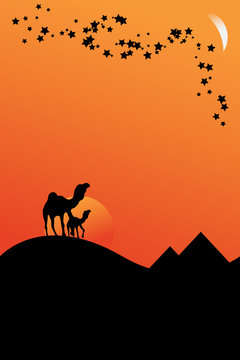 Camels walking in desert sunset, travel concept. Vector Image