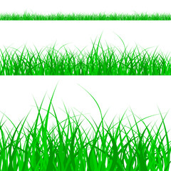Fototapeta premium grass pattern
