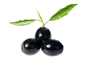 three olives