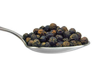 Spoonful of black pepper grains, isolated on white, large detailed horizontal spoon macro closeup