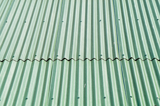 Green roof. Texture, the background