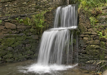 Molino