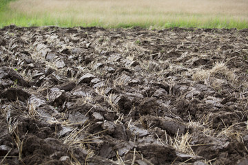 plowed field