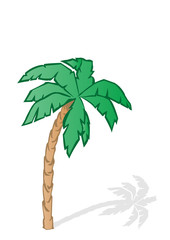 Vector illustration a green tropical palm tree