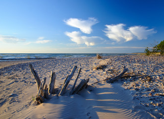 Baltic seashore