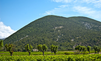 Colline de Provence en France