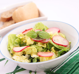 Frischer Salat