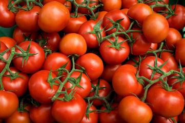 Tomaten