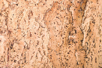 texture of the cork material