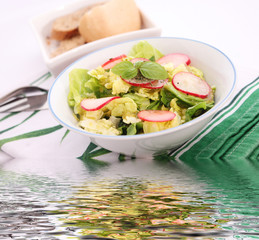 Frischer Salat
