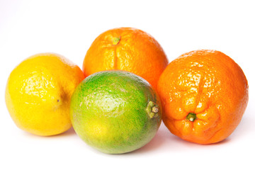 Citrus fruits on a white.