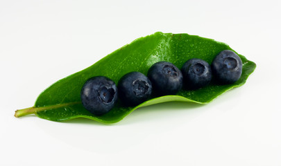 blueberries on leaf