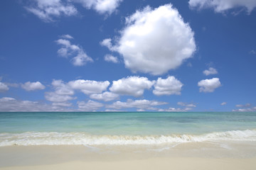 Fototapeta na wymiar sand of beach hawaii sea