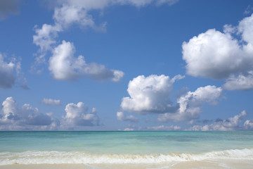 Fototapeta na wymiar sand of beach hawaii sea