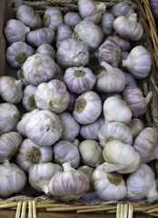 Knoblauch auf dem Wochenmarkt