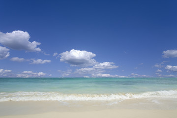 sand of beach hawaii sea