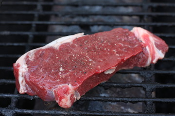 Buffalo Steak on Grill