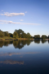 Park reflection on lake