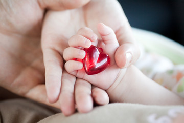 parent's and baby's hands