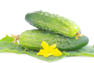 cucumbers