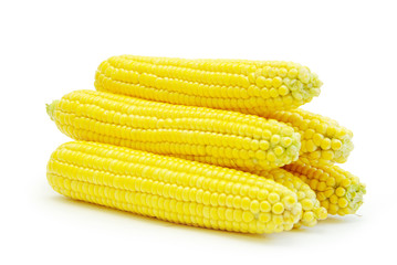 maize